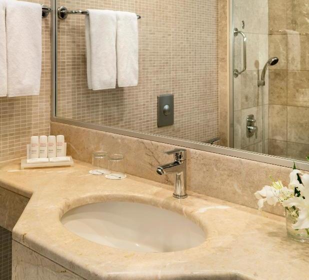 ホテル Bh Conference & Airport  Istanbul