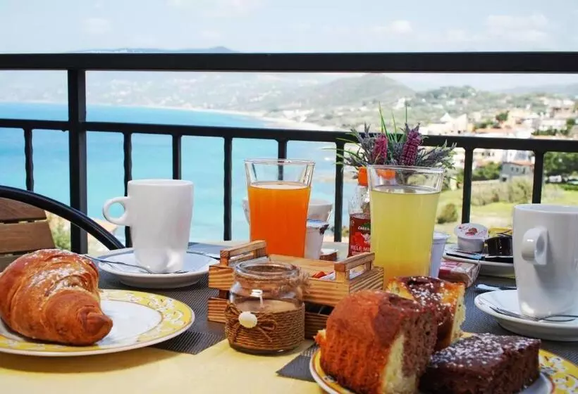 Belvedere B&b