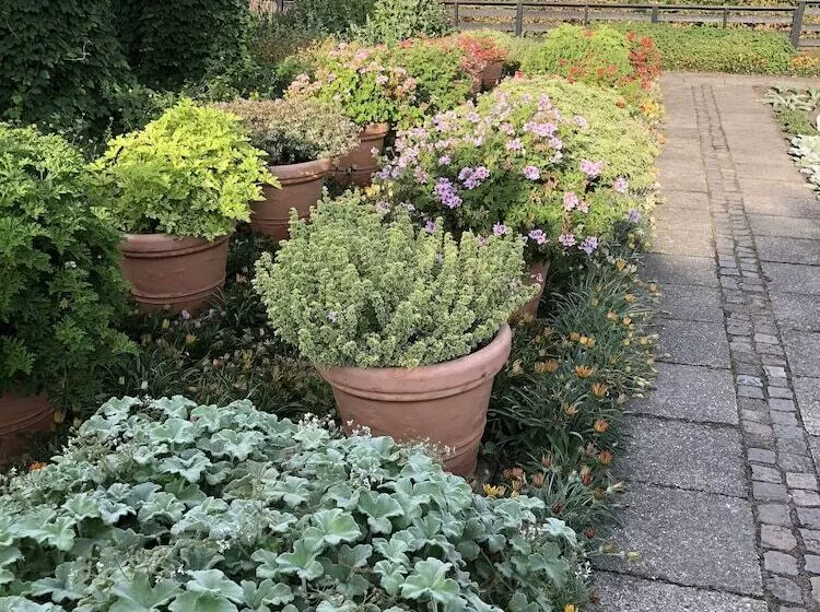 Hotelli Danhostel Vitskøl Kloster