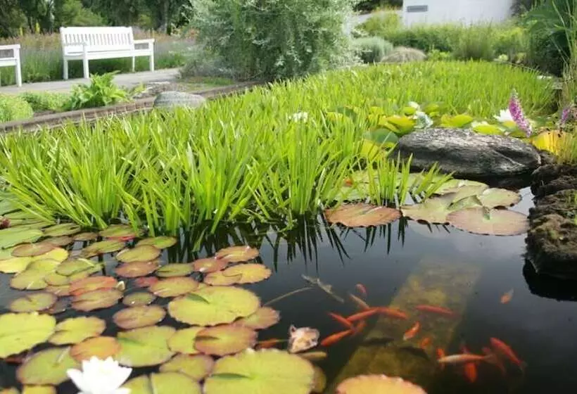 Hotelli Danhostel Vitskøl Kloster