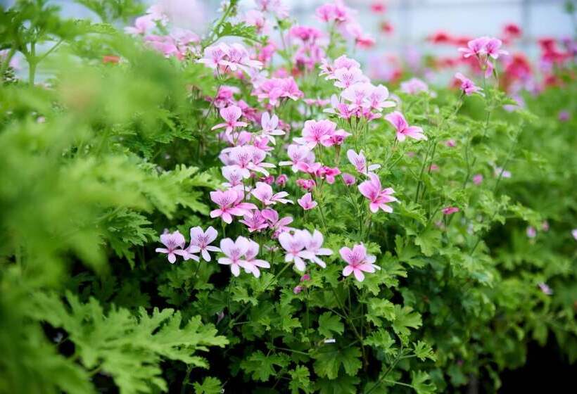 Hotel Danhostel Vitskøl Kloster