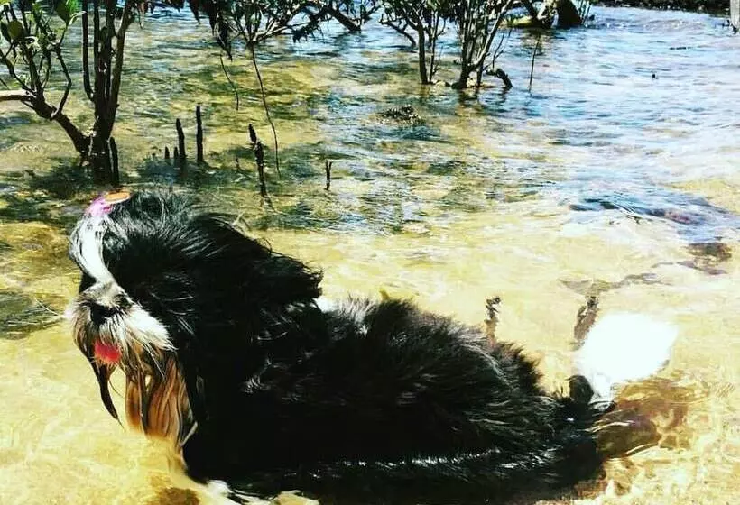 Hotel Pousada Pouso Da Pardoca