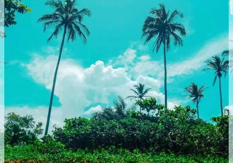 Hotel Pousada Pouso Da Pardoca