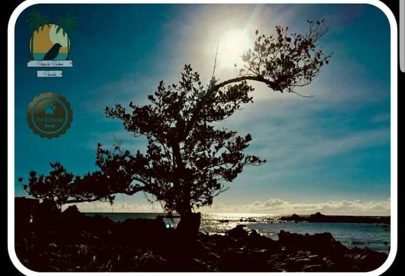 Отель Pousada Pouso Da Pardoca