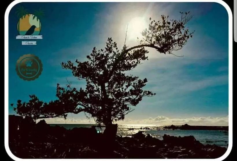 Hotel Pousada Pouso Da Pardoca