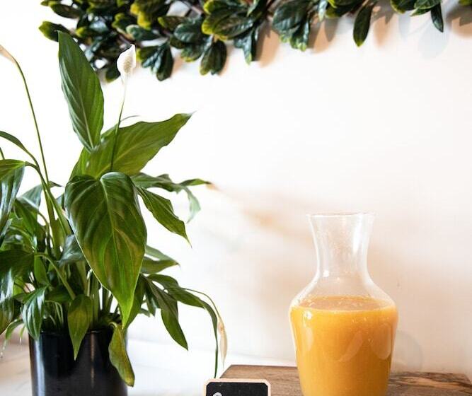 בית מלון כפרי Southern X Lodge