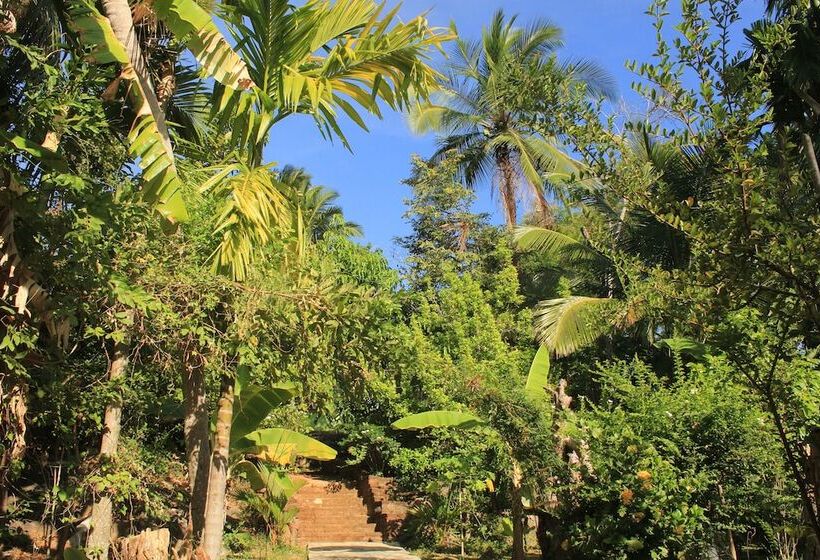 Pensjonat Serenity Sigiri Resort