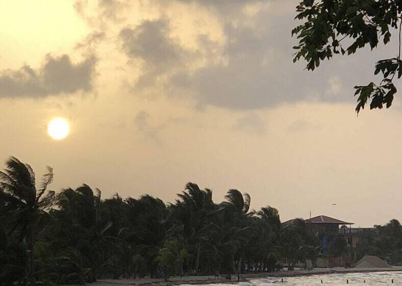 The Enclave  Private Island