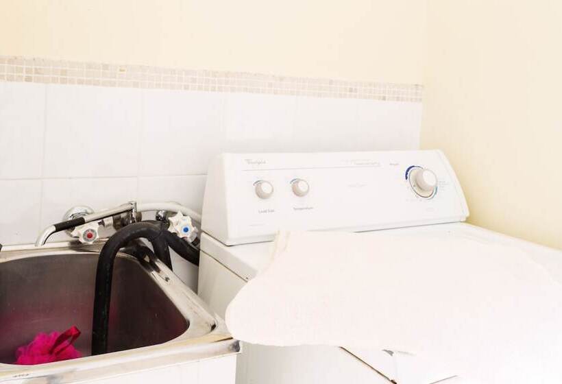 Coal D Vine Cottage Cessnock Nsw