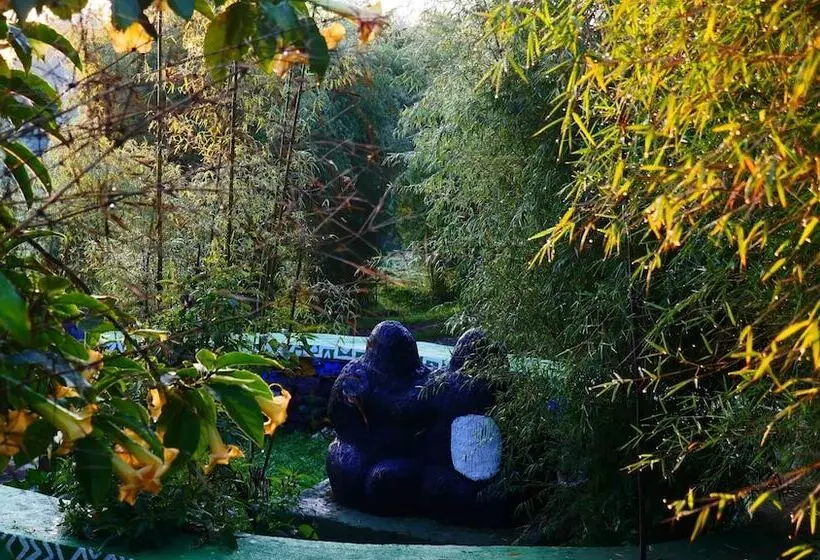 هتل Le Bambou Gorilla Lodge