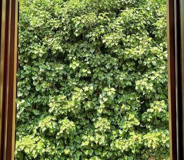 Majatalo Apartments & Rooms Tiramola   Old Town