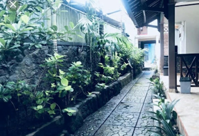 پانسیون Cha Cha Homestay