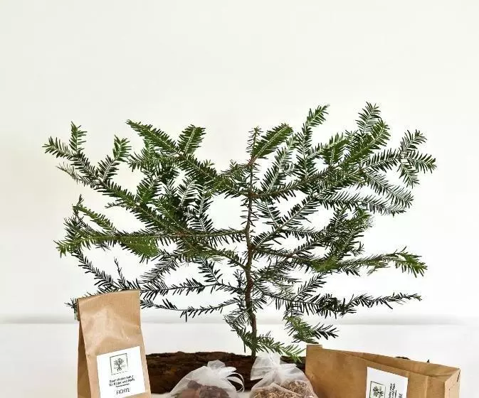 Hotelli Reiteralm Ansitz