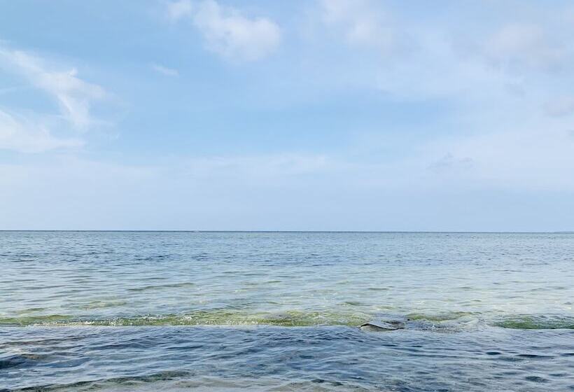 호텔 Villa Soledad Beach Resort