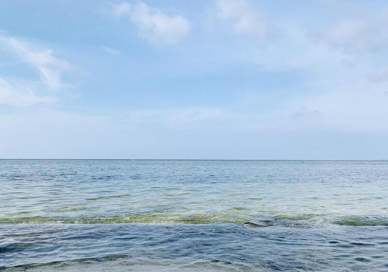 호텔 Villa Soledad Beach Resort