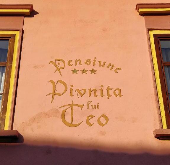 La Teo Pensiune Si Pivnita