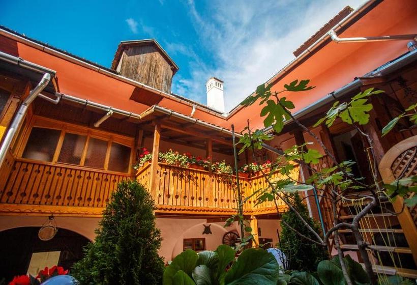 La Teo Pensiune Si Pivnita