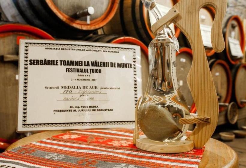 La Teo Pensiune Si Pivnita