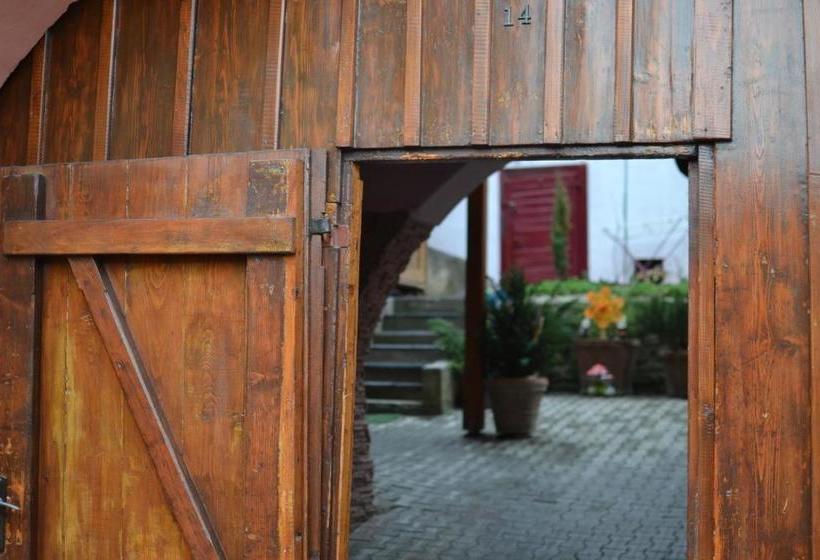 La Teo Pensiune Si Pivnita