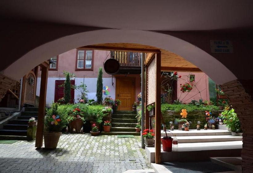 La Teo Pensiune Si Pivnita