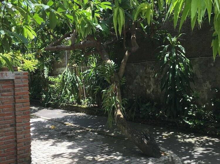 Cafe Wayan Cottages Senggigi