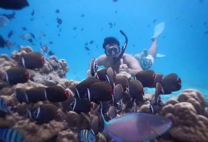 Hotelli Freddies Santai Sumurtiga