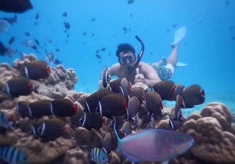 בית מלון כפרי Freddies Santai Sumurtiga