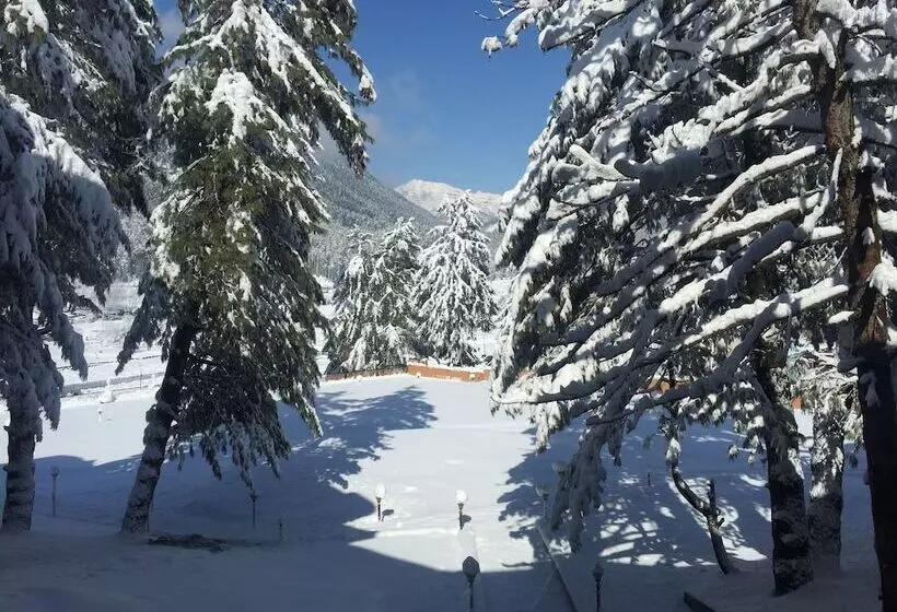 ホテル Royal Hillton Pahalgam