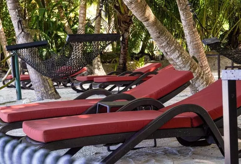 پانسیون Anse Kerlan Beach Chalets