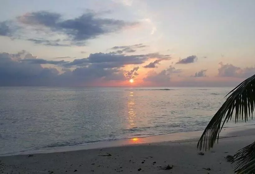 پانسیون Anse Kerlan Beach Chalets