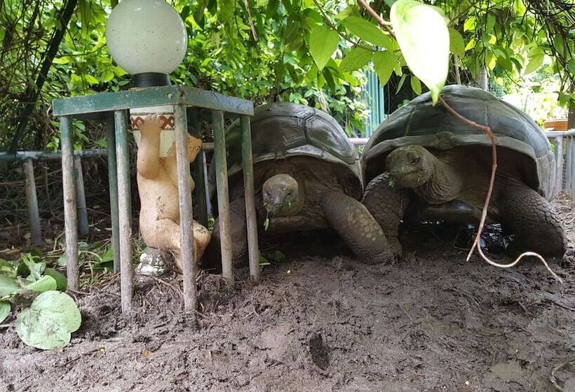 پانسیون Anse Kerlan Beach Chalets