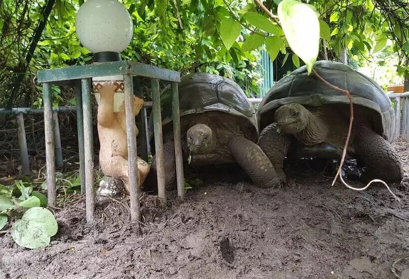 پانسیون Anse Kerlan Beach Chalets