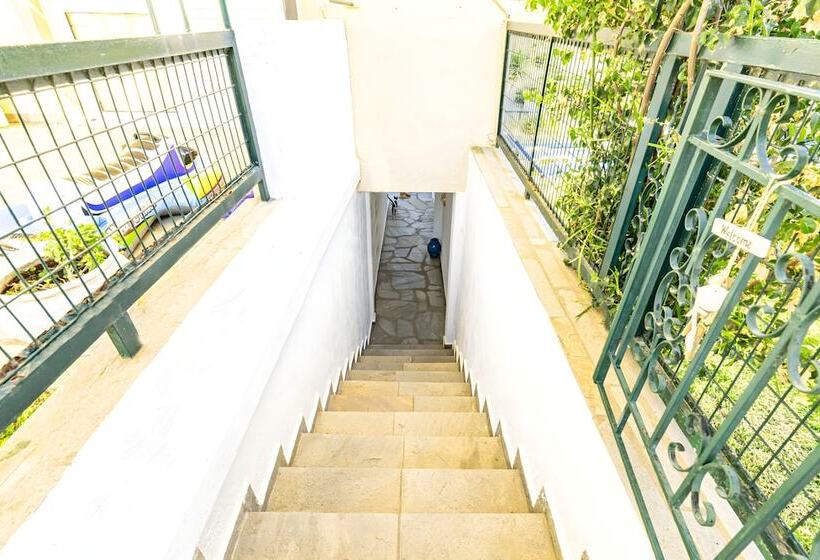 پانسیون Skioni Studios