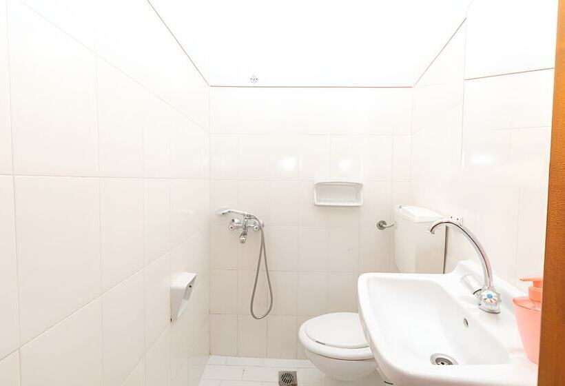 پانسیون Skioni Studios