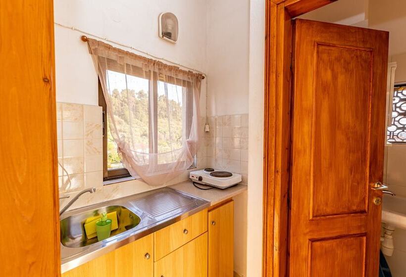 پانسیون Skioni Studios