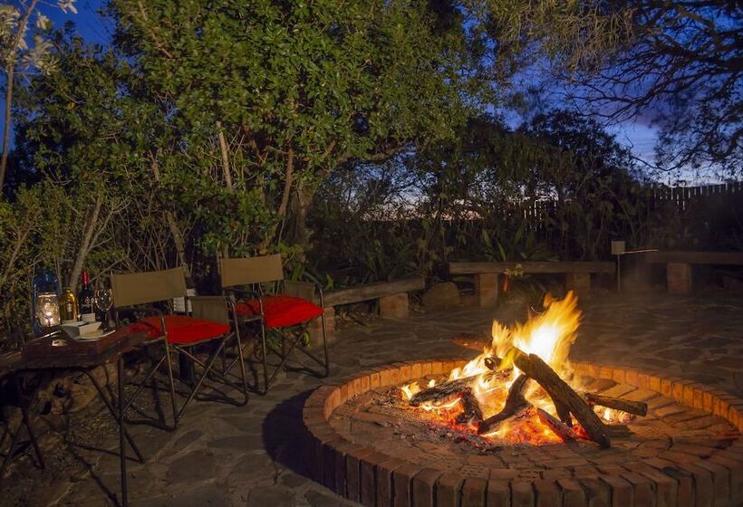 فندق Elephants Lodge Bellevue Forest Reserve