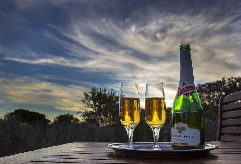 فندق Elephants Lodge Bellevue Forest Reserve