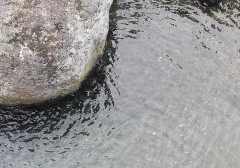 Rafjam Bed & Breakfast