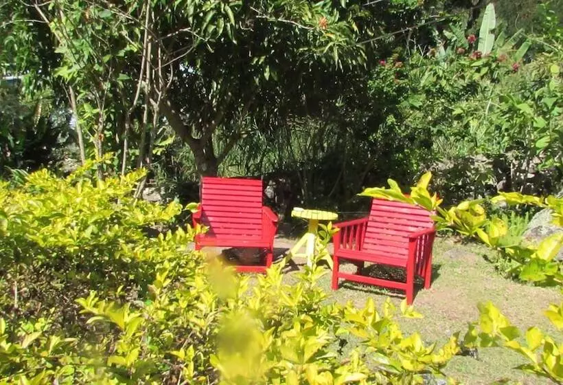 Rafjam Bed & Breakfast