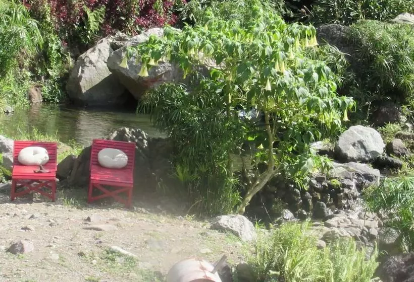 Rafjam Bed & Breakfast