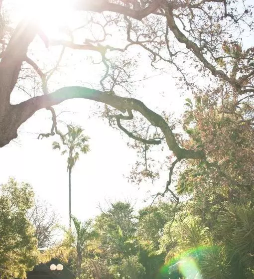 The Country Guesthouse