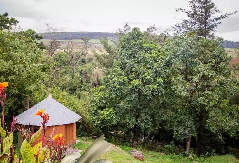 هتل Kimugu River Lodge