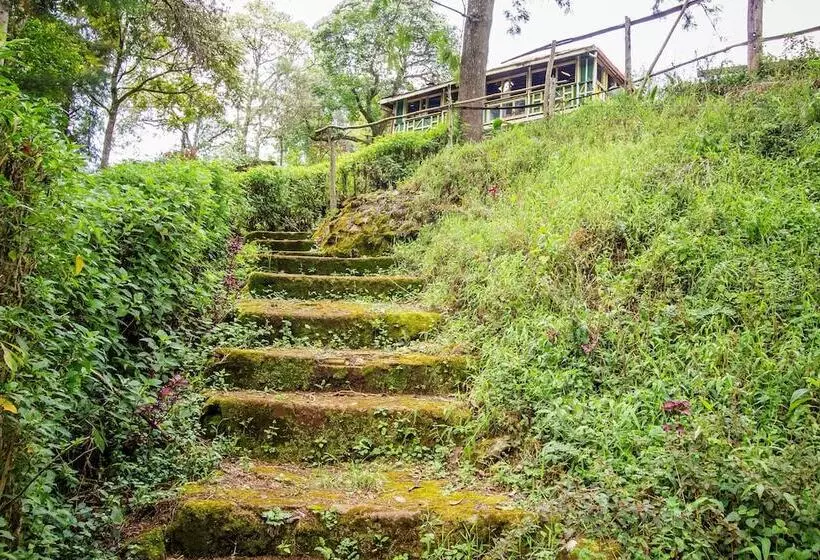 هتل Kimugu River Lodge