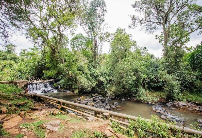 هتل Kimugu River Lodge