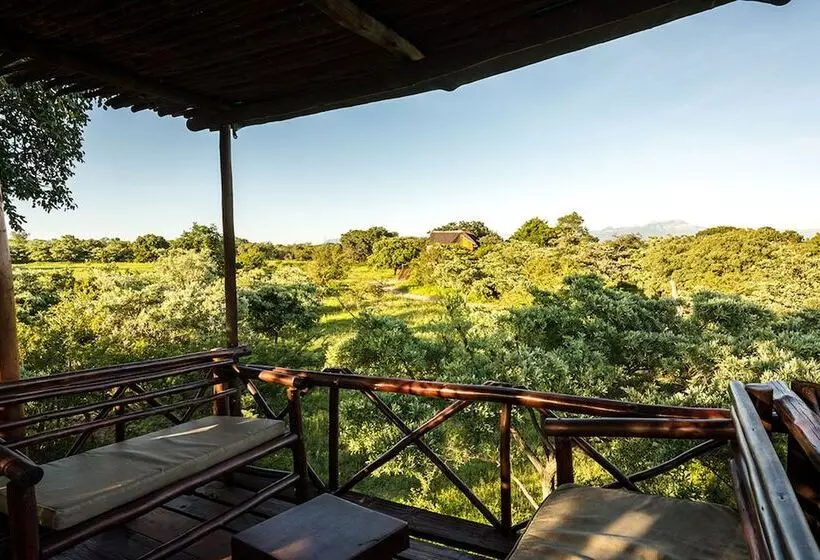 ホテル Pezulu Tree House Lodge