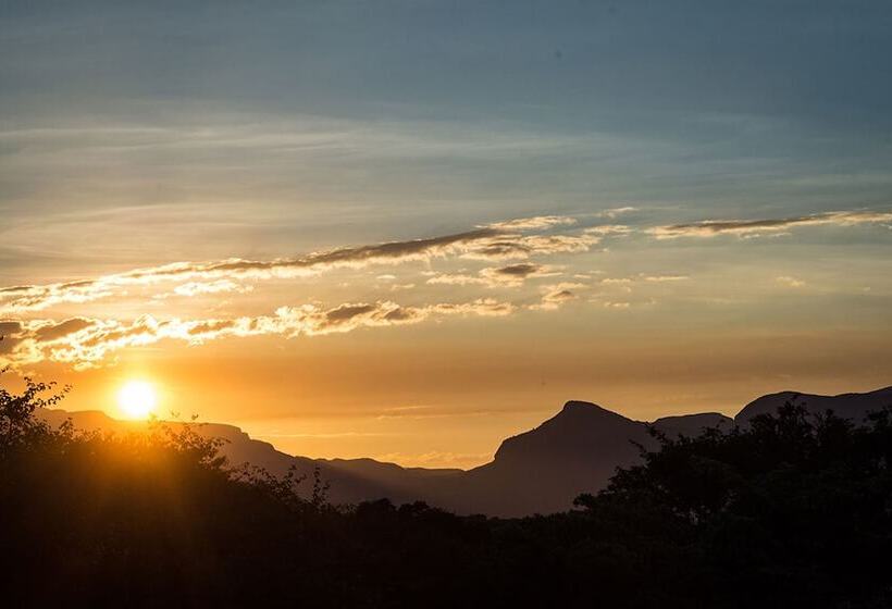 호텔 Pezulu Tree House Lodge
