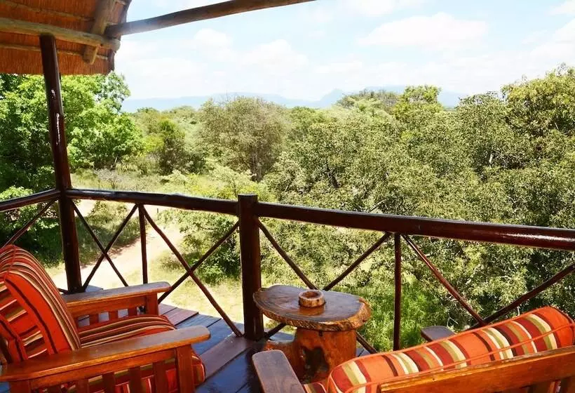 ホテル Pezulu Tree House Lodge