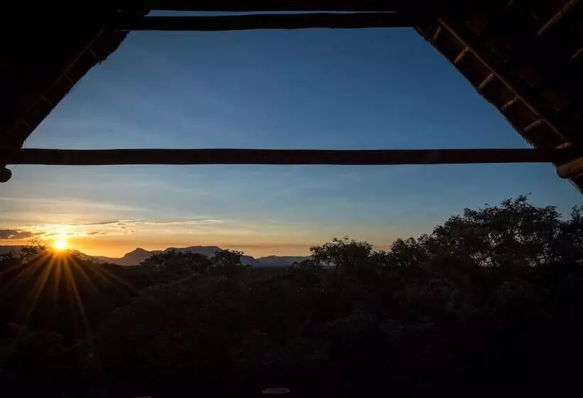 ホテル Pezulu Tree House Lodge