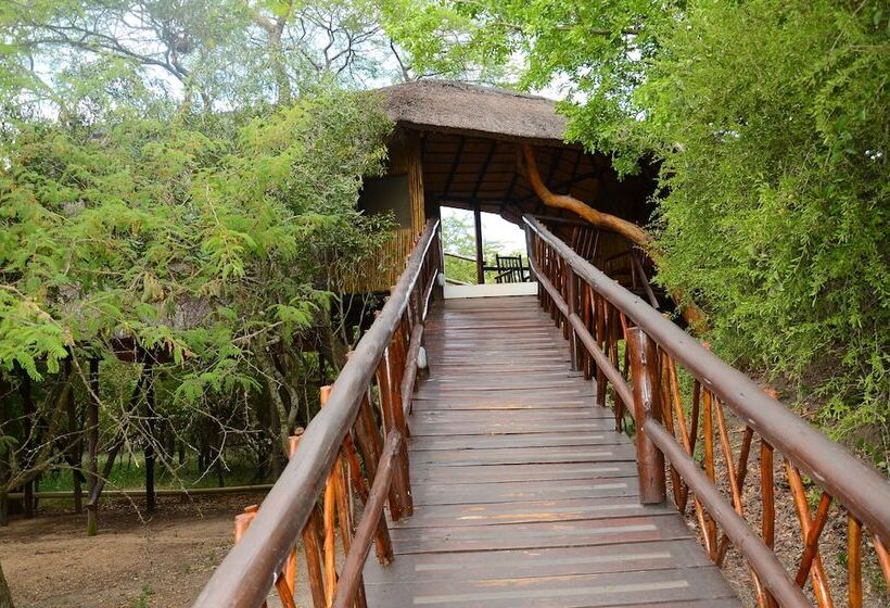 호텔 Pezulu Tree House Lodge