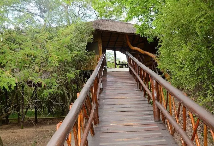 ホテル Pezulu Tree House Lodge
